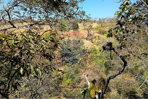 Slider Image Thumbnail