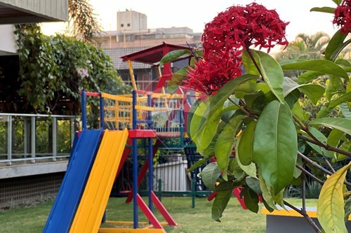 Slider Image Thumbnail