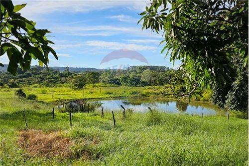 Chácara / Sítio / Fazenda - Venda - Gama , Distrito Federal - 49 - 880321005-55