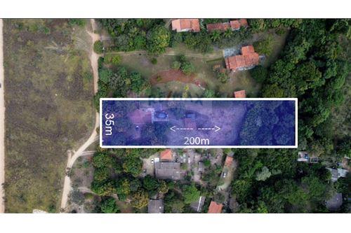 Chácara / Sítio / Fazenda - Venda - Brasília , Distrito Federal - 24 - 880161048-33