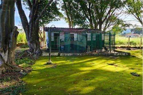 Chácara / Sítio / Fazenda - Venda - Gama , Distrito Federal - 11 - 880321005-55