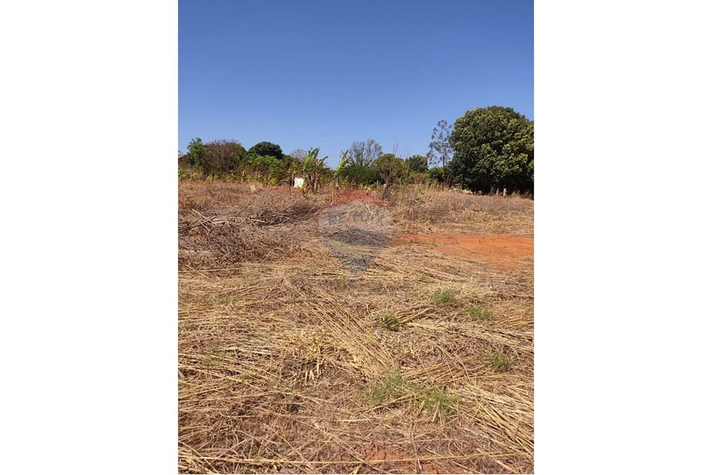 Terreno - Venda - Gama , Distrito Federal - Foto frontal entrada lote.jpg - 880201061-3