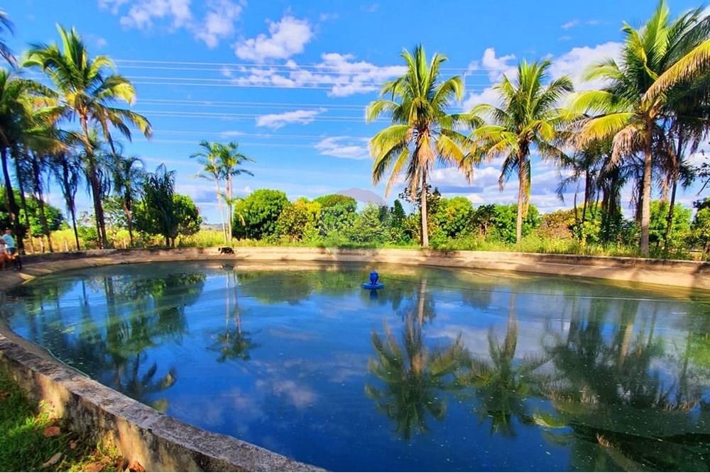 Fazenda - Venda - Padre Bernardo , Goiás - WhatsApp Image 2025-04-18 at 16.31.30.jpeg - 880341026-62