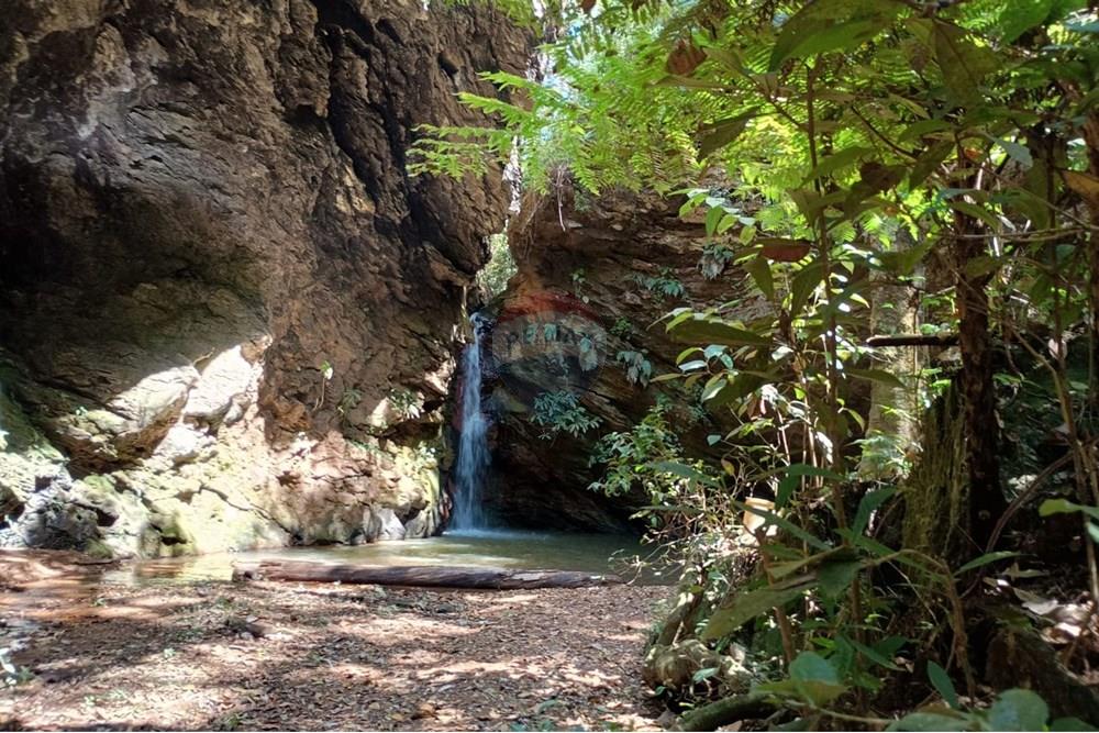 Chácara / Sítio / Fazenda - Venda - Luziânia , Goiás - Imagem do WhatsApp de 2025-06-26 à(s) 23.13.23_d3d968bc.jpg - 880231017-81