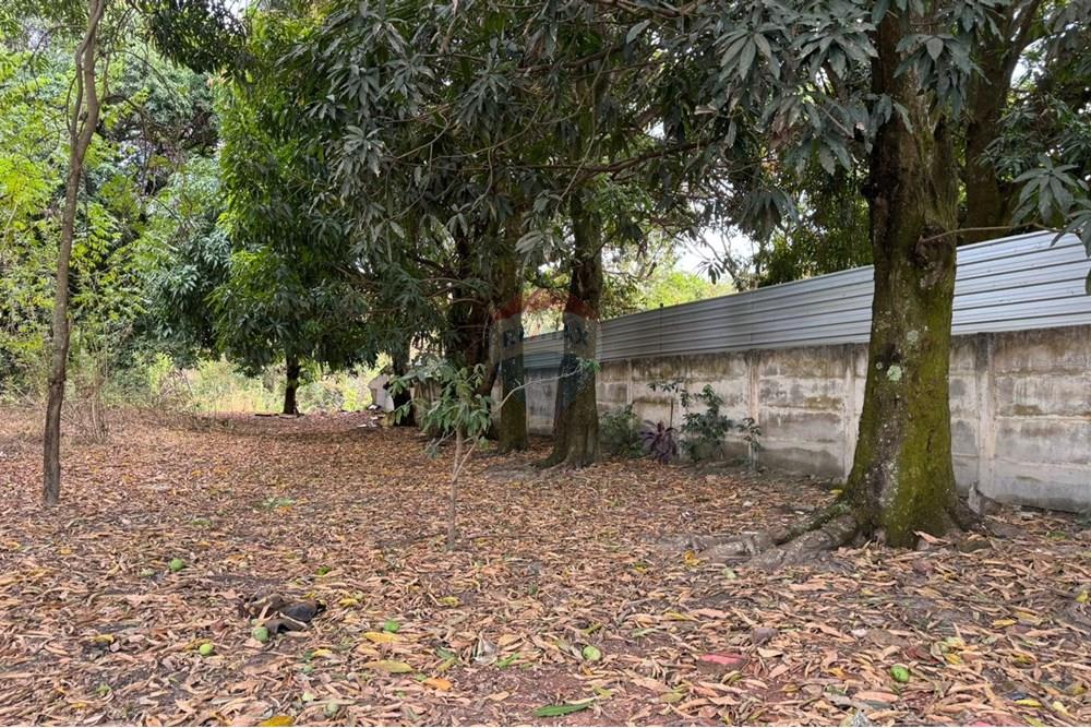 Terreno - Venda - Valparaíso de Goiás , Goiás - d9c3a06b-cd90-4e13-a39d-693565ae2ce1.jpg - 880351097-8