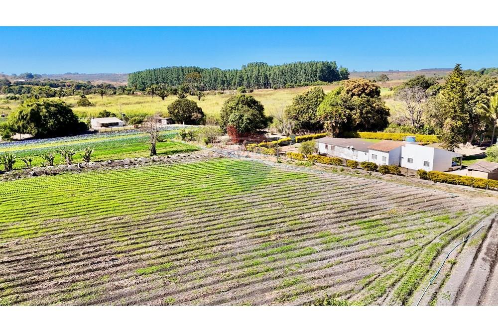 Chácara / Sítio / Fazenda - Venda - Ceilandia , Distrito Federal - DJI_20250707103644_0336_D.jpg - 880411017-37