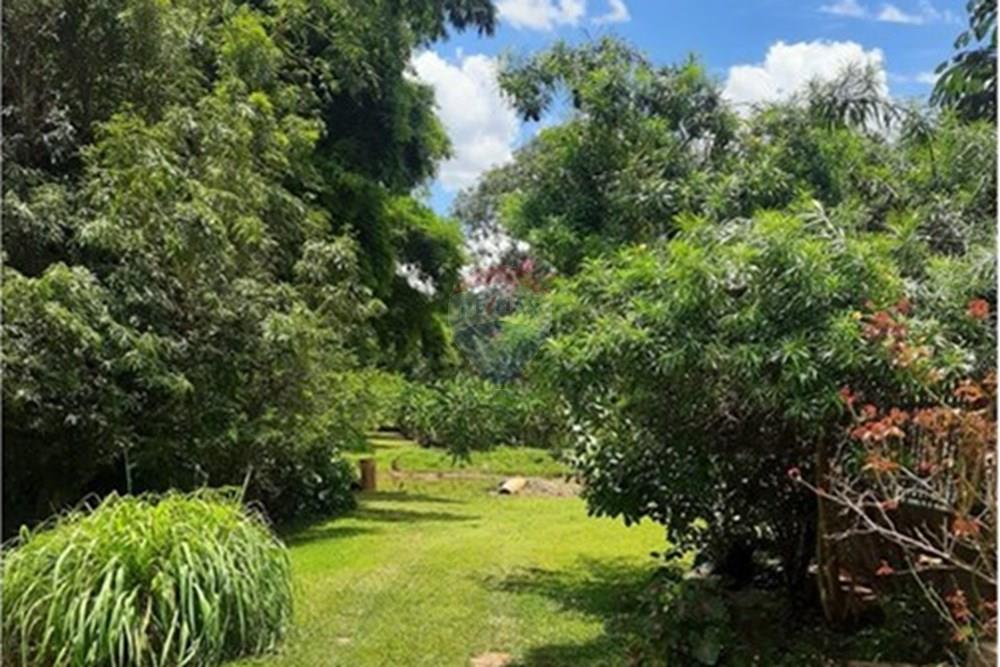 Chácara / Sítio / Fazenda - Venda - Águas Lindas de Goiás , Goiás - WhatsApp Image 2025-02-10 at 11.25.16.jpeg - 880111016-43