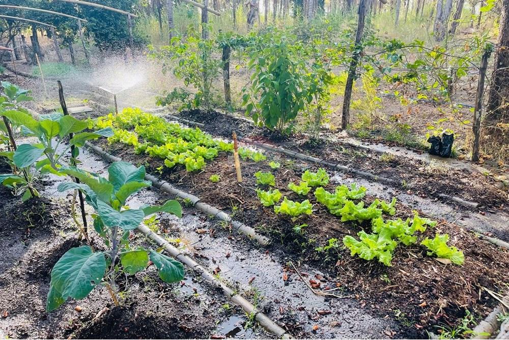 Fazenda - Venda - Padre Bernardo , Goiás - WhatsApp Image 2025-04-18 at 16.31.31 (1).jpeg - 880341026-62