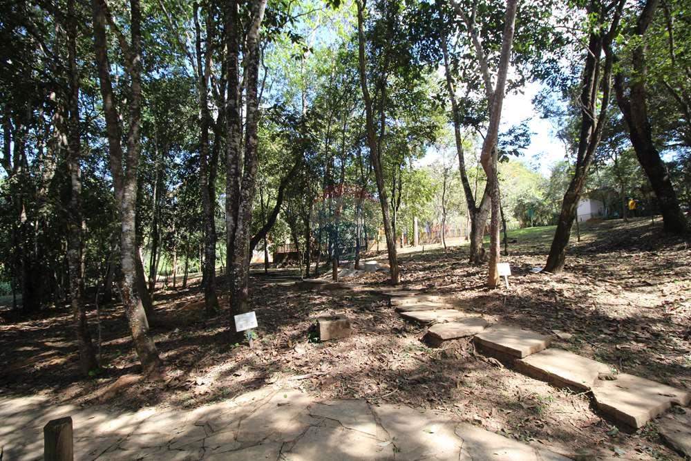 Terreno - Venda - Brasília , Distrito Federal - Bosque.JPG - 880151004-211