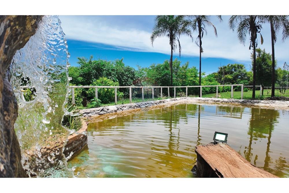 Chácara / Sítio / Fazenda - Venda - Sobradinho , Distrito Federal - DJI_20250123120114_0575_D.jpg - 880231061-43