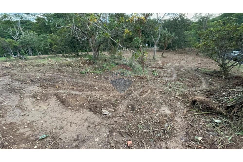 Terreno - Venda - Brasília , Distrito Federal - WhatsApp Image 2025-01-29 at 20.55.28.jpeg - 880331038-47