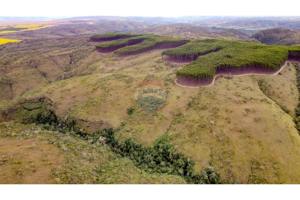 Chácara / Sítio / Fazenda - Venda - Água Fria de Goiás , Goiás - IMG-20250526-WA0144.jpg - 880231017-80