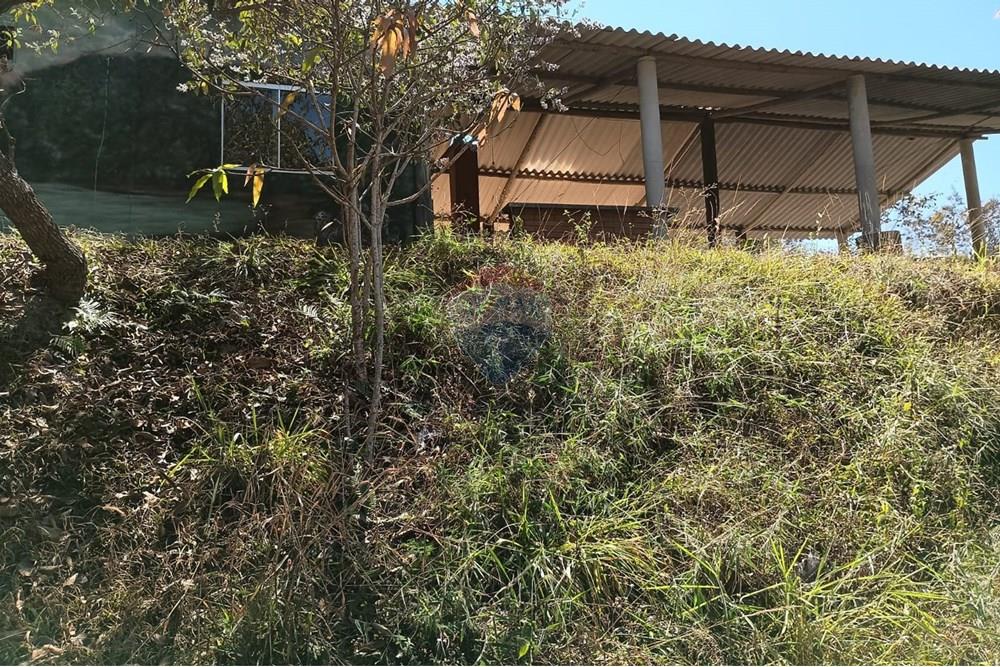 Chácara / Sítio / Fazenda - Venda - Luziânia , Goiás - Imagem do WhatsApp de 2025-06-26 à(s) 23.13.03_099a38d7.jpg - 880231017-81