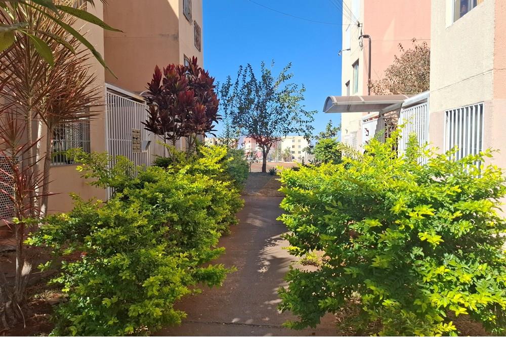 Apartamento - Venda - Paranoa , Distrito Federal - 20250723_103350.jpg - 880231075-70