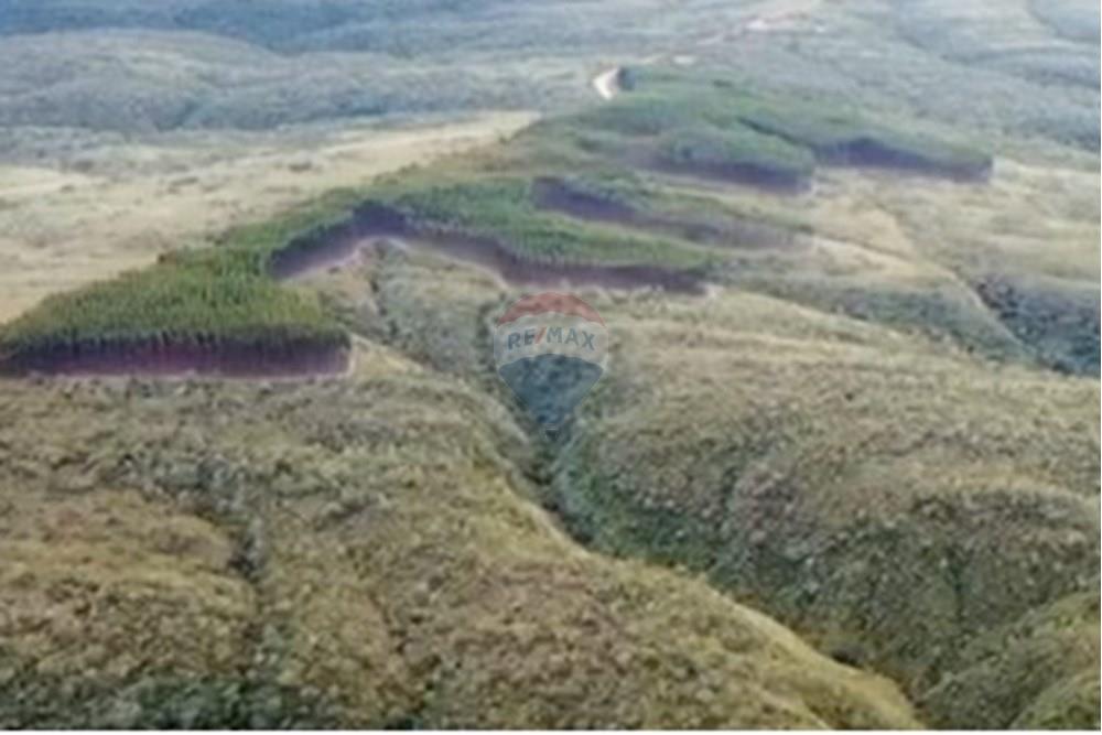 Chácara / Sítio / Fazenda - Venda - Água Fria de Goiás , Goiás - IMG-20250523-WA0224.jpg - 880231017-80