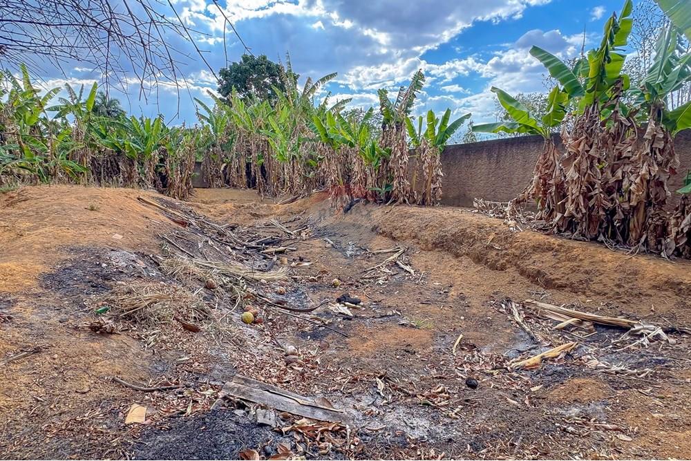 Chácara / Sítio / Fazenda - Venda - Ceilandia , Distrito Federal - IMG_9138.jpg - Jardim Externo - 880231186-13