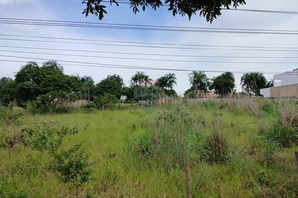 Terreno - Venda - Brasília , Distrito Federal - PHOTO-2025-01-31-12-28-15.jpg - 880231128-34