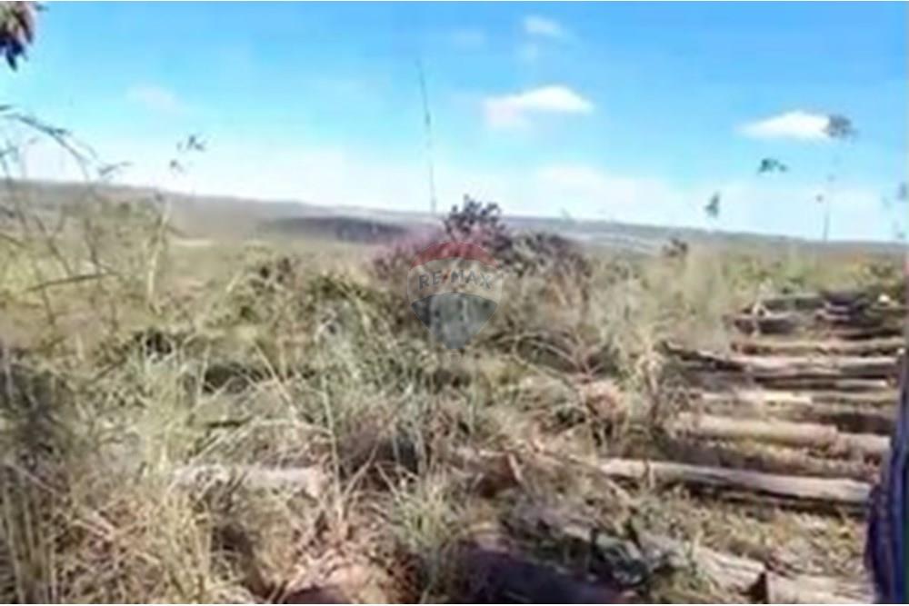 Chácara / Sítio / Fazenda - Venda - Água Fria de Goiás , Goiás - IMG-20250523-WA0219.jpg - 880231017-80