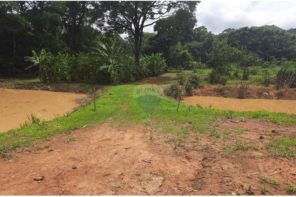 Chácara / Sítio / Fazenda - Venda - Águas Lindas de Goiás , Goiás - WhatsApp Image 2025-02-10 at 11.21.45.jpeg - 880111016-43