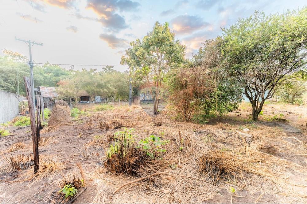 Terreno - Venda - Vicente Pires , Distrito Federal - DSC03060.jpg - 880241010-47