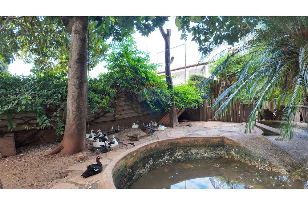 Casa - Venda - Brasília , Distrito Federal - DJI_20250529161235_0243_D.jpg - 880461004-36