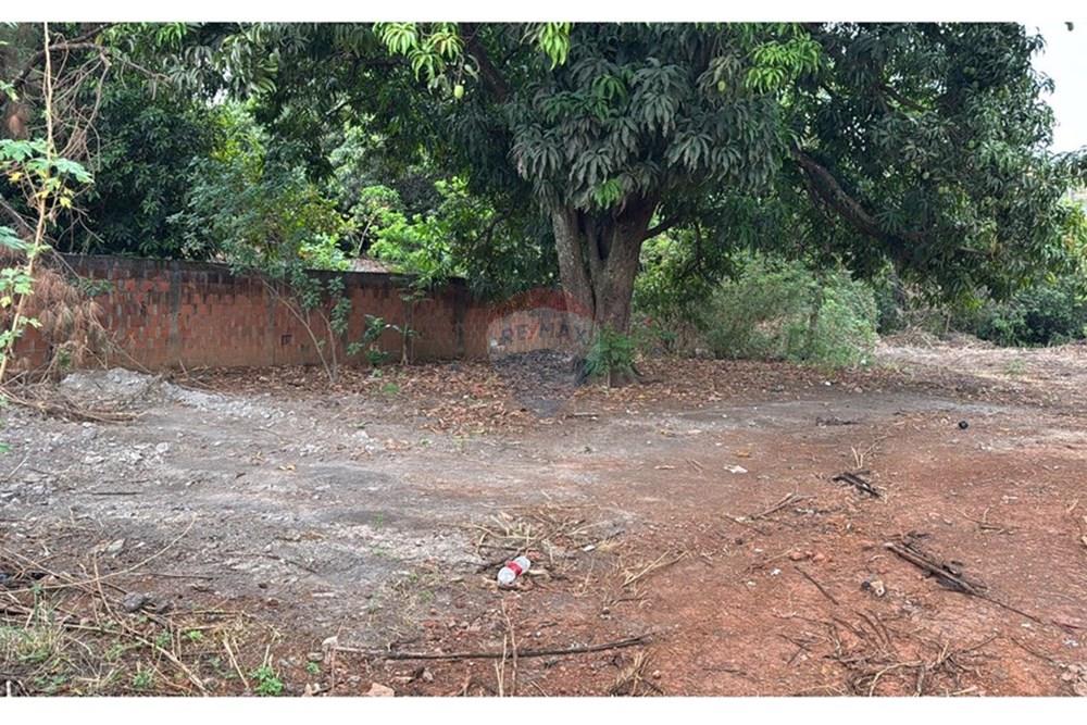 Terreno - Venda - Valparaíso de Goiás , Goiás - 1f826545-b44e-4f38-a213-4f89c617919c.jpg - 880351097-7