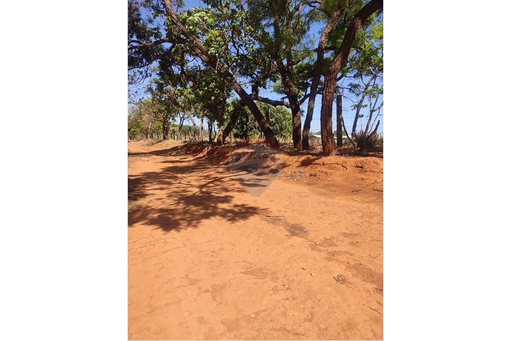 Terreno - Venda - Gama , Distrito Federal - Rua lateral .jpg - 880201061-3