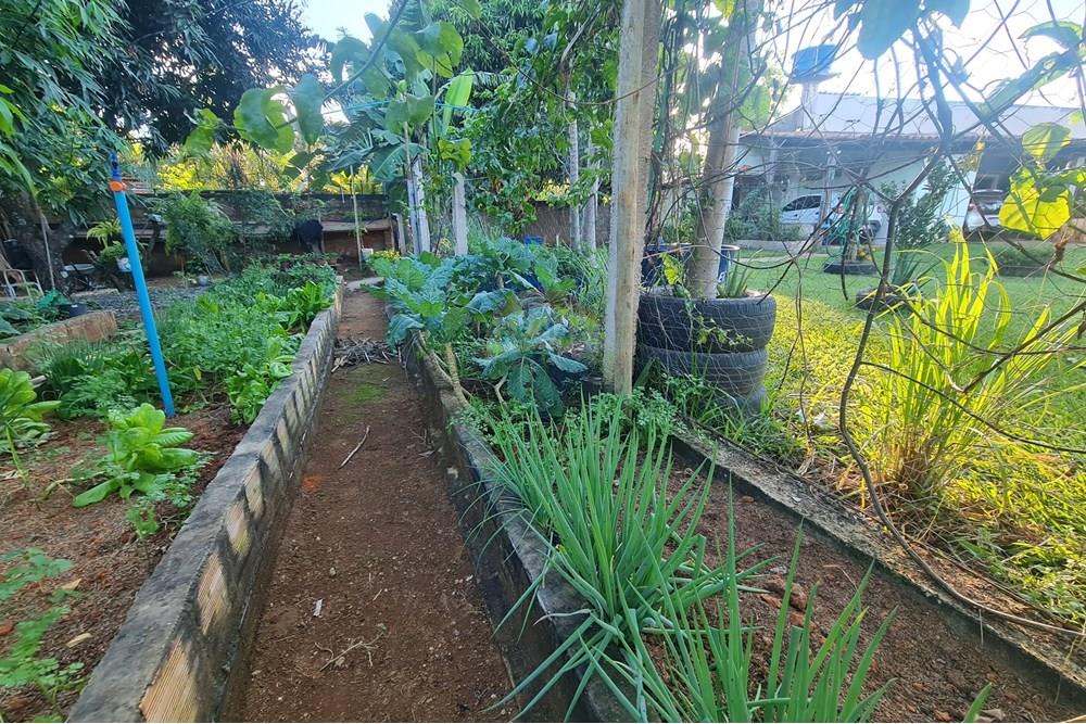 Chácara / Sítio / Fazenda - Venda - Brasília , Distrito Federal - 20250507_165549.jpg - 880321021-71