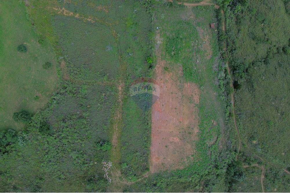 Chácara / Sítio / Fazenda - Venda - Brasília , Distrito Federal - WhatsApp Image 2025-03-26 at 16.33.45.jpeg - 880321111-6