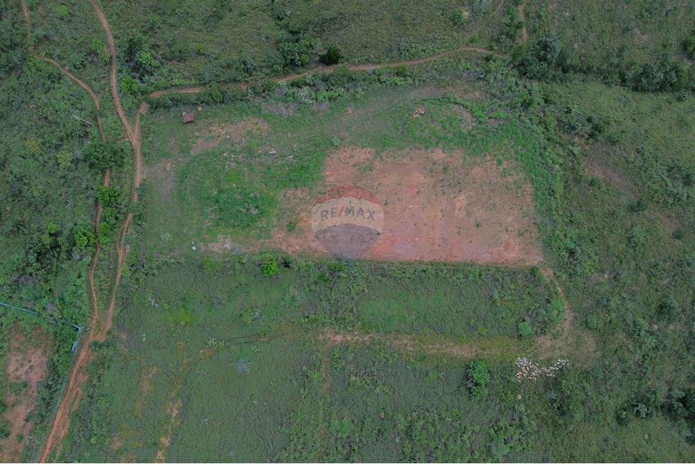 Chácara / Sítio / Fazenda - Venda - Brasília , Distrito Federal - WhatsApp Image 2025-03-26 at 16.33.45 (1).jpeg - 880321111-6