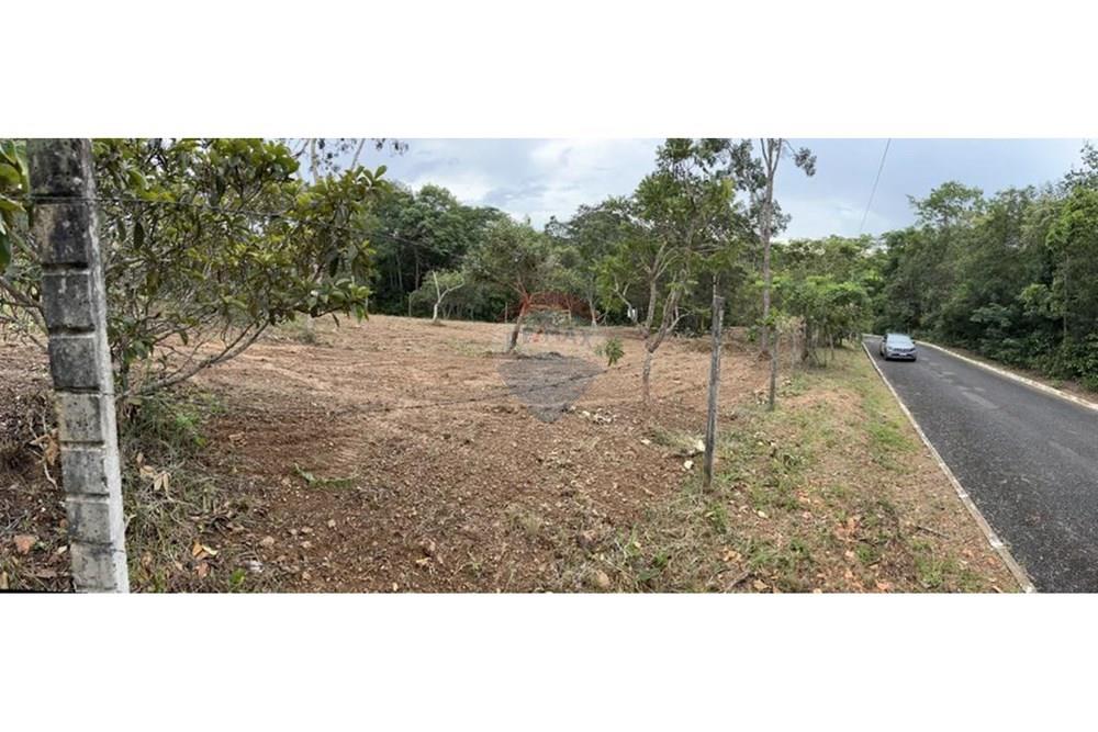Terreno - Venda - Brasília , Distrito Federal - WhatsApp Image 2025-01-29 at 20.55.29 (2).jpeg - 880331038-47