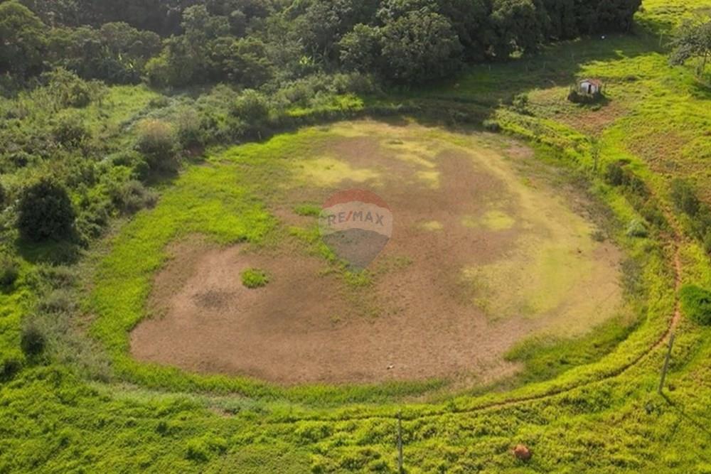 Chácara / Sítio / Fazenda - Venda - Gama , Distrito Federal - image (25).jpg - 880321005-55