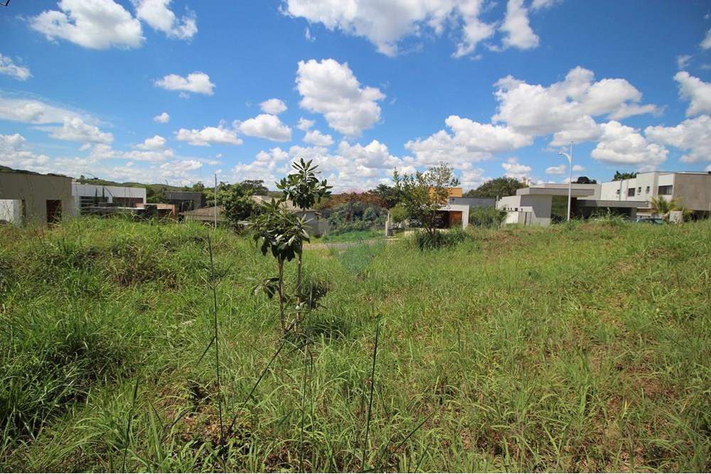 Terreno - Venda - Brasília , Distrito Federal - Interior do terreno 4.JPG - 880151004-198