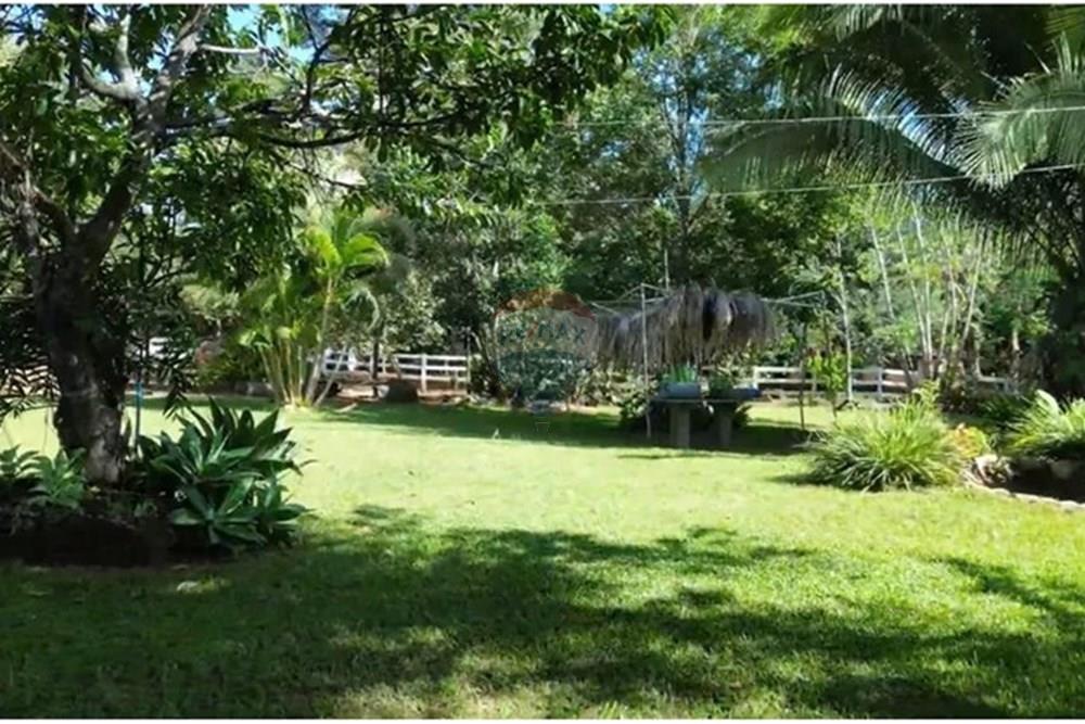 Chácara / Sítio / Fazenda - Venda - Mimoso de Goiás , Goiás - 712545147189029.jpg - 880111016-54