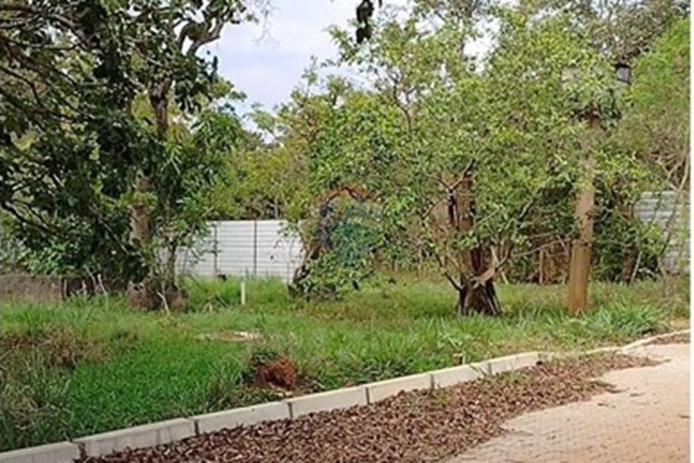 Terreno - Venda - Brasília , Distrito Federal - PHOTO-2025-03-25-16-31-40.jpg - 880231128-33