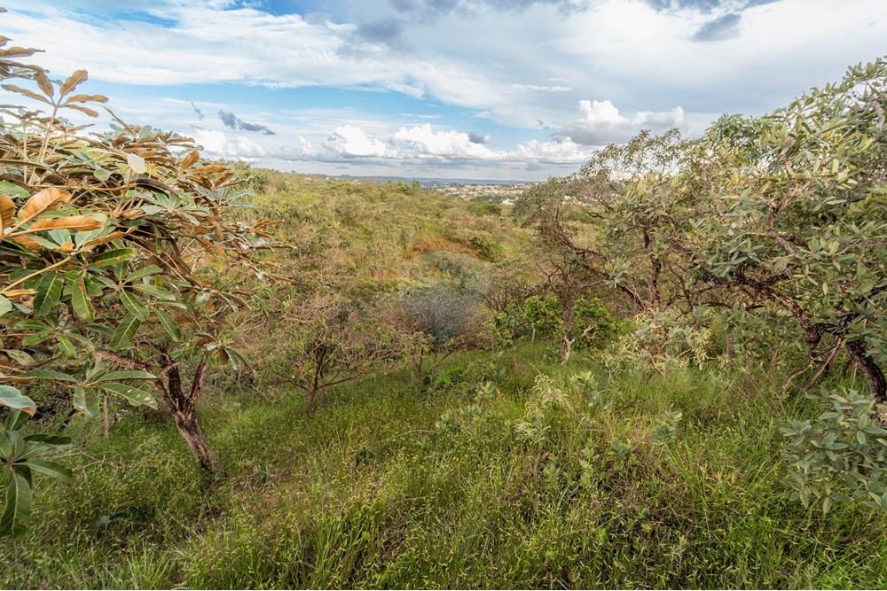 Terreno - Venda - Brasília , Distrito Federal - DSC03356-Aprimorado-NR.jpg - 880251001-40