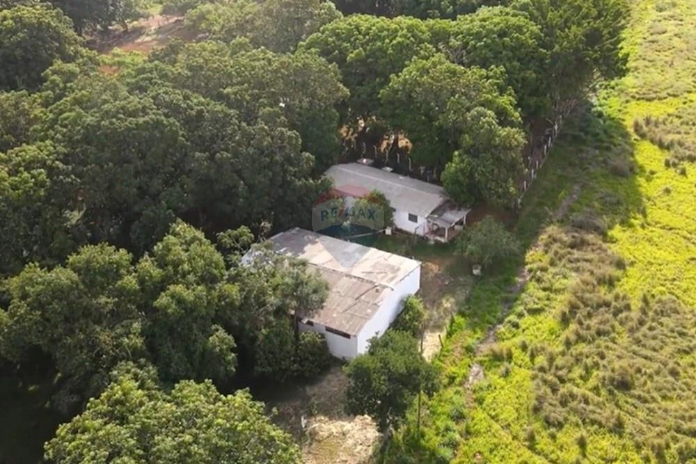 Chácara / Sítio / Fazenda - Venda - Gama , Distrito Federal - image (10).jpg - 880321005-55