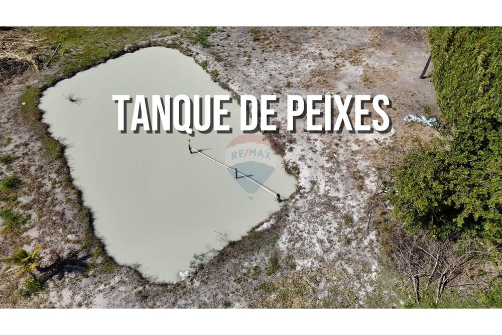 Chácara / Sítio / Fazenda - Venda - Ceilandia , Distrito Federal - Tanque.jpg - 880411017-37