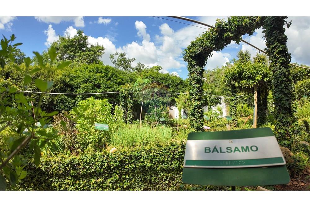 Hotel/ Pousada - Venda - Pirenópolis , Goiás - Cópia de DJI_20241128144921_0026_D.jpg - 880461004-27