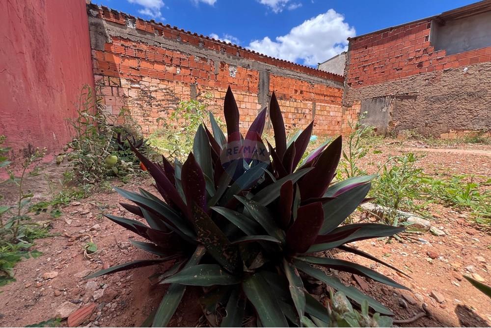 Casa - Venda - Ceilandia , Distrito Federal - IMG_5763.jpeg - 880351011-80
