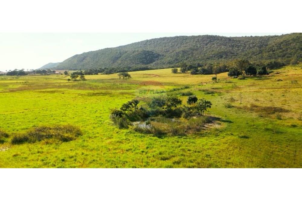 Chácara / Sítio / Fazenda - Venda - Unaí , Minas Gerais - WhatsApp Image 2025-02-26 at 08.09.37 (3).jpeg - Jardim Externo - 880261133-87