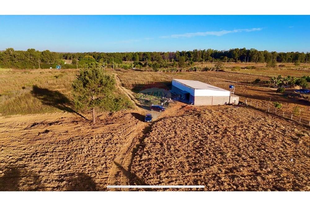 Galpão - Venda - Brazlandia , Distrito Federal - IMG_6994.jpeg - 880351001-192