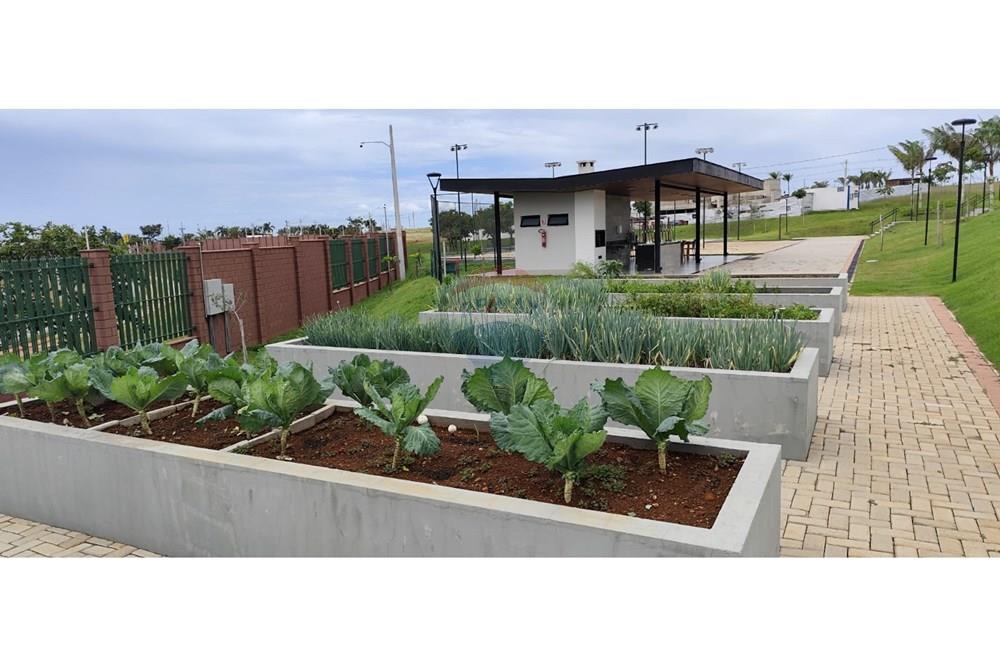 Terreno - Venda - Paranoa , Distrito Federal - Horta comunitária foto 2.jpeg - 880341024-138