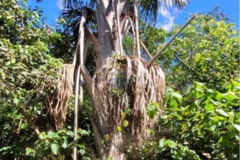 Terreno - Venda - Águas Lindas de Goiás , Goiás - 0b0fde07-7ff3-4bd7-8174-c1128c578226.jpg - 880111016-47