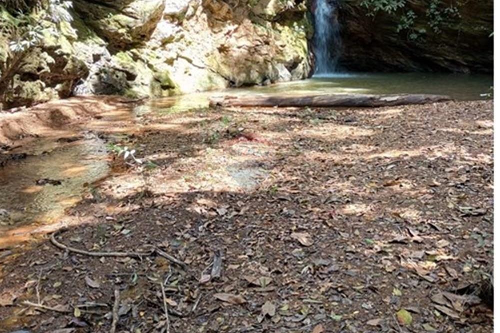 Chácara / Sítio / Fazenda - Venda - Luziânia , Goiás - Imagem do WhatsApp de 2025-06-26 à(s) 23.13.23_5f9c14fa.jpg - 880231017-81