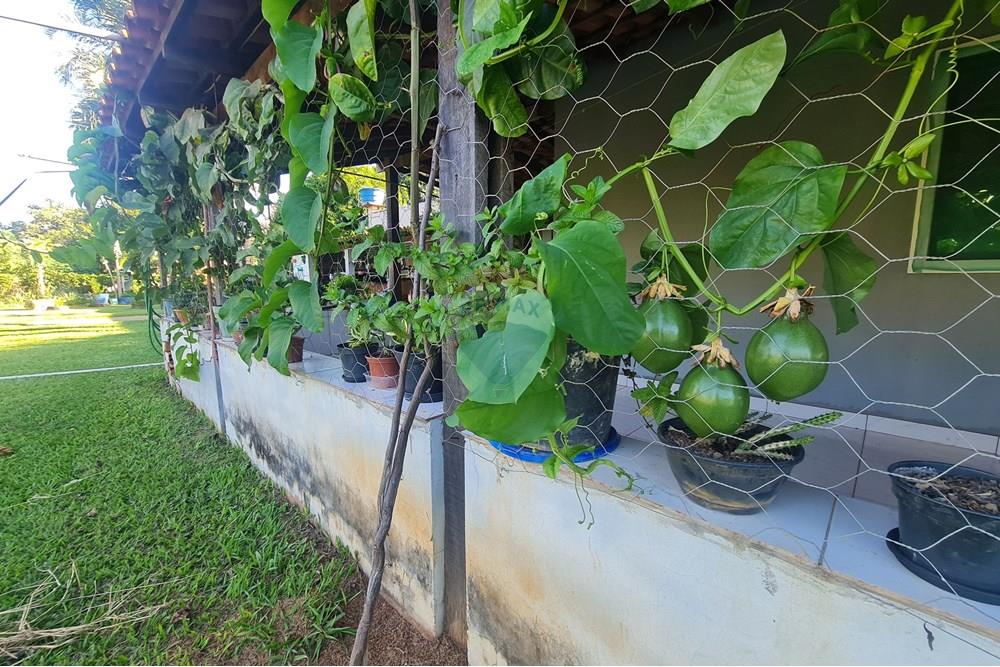 Chácara / Sítio / Fazenda - Venda - Brasília , Distrito Federal - 20250507_161500.jpg - 880321021-71