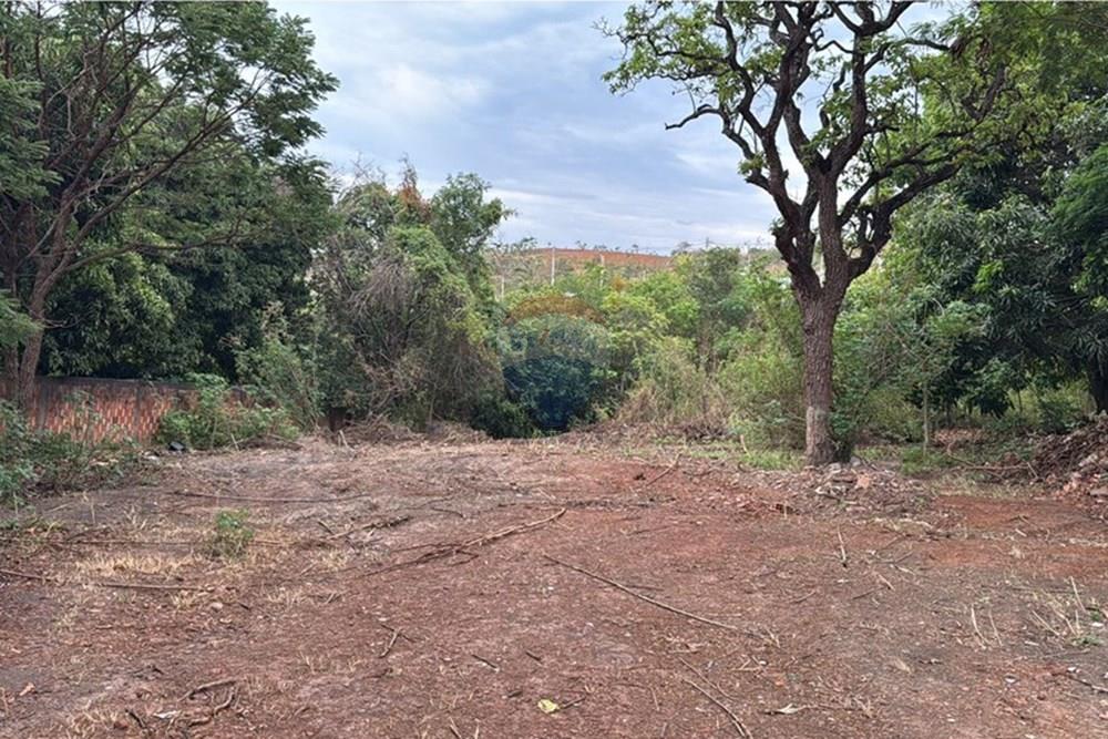 Terreno - Venda - Valparaíso de Goiás , Goiás - 1efd7766-745d-48b9-84d6-ae5ac0432151.jpg - 880351097-8