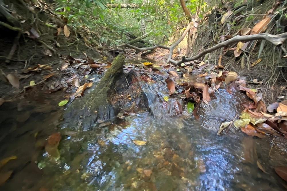 Chácara / Sítio / Fazenda - Venda - Santo Antônio do Descoberto , Goiás - IMG_7551.JPG - 880111025-46