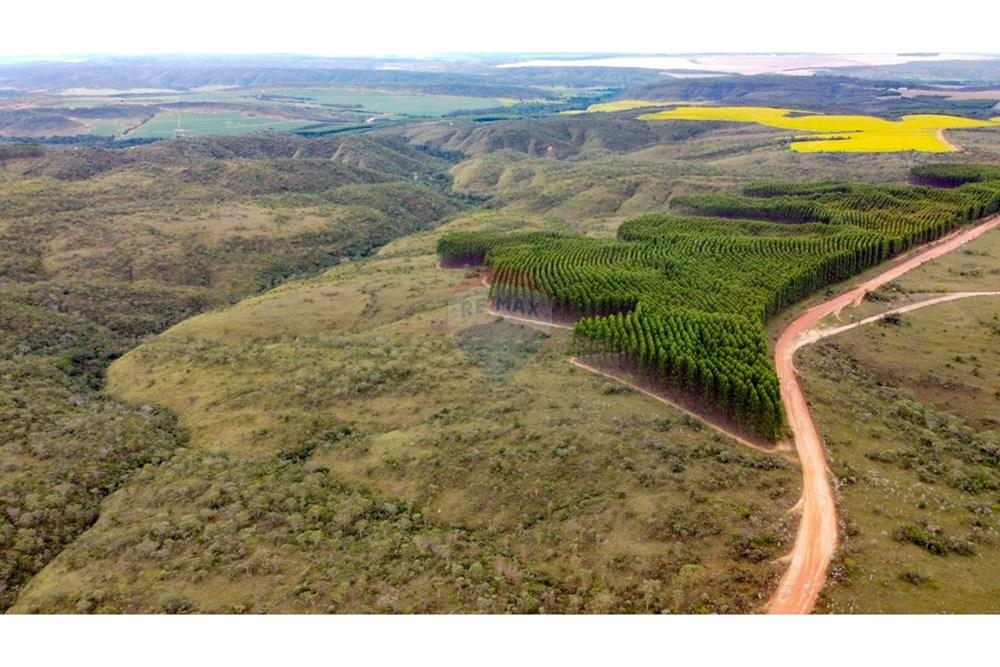 Chácara / Sítio / Fazenda - Venda - Água Fria de Goiás , Goiás - IMG-20250526-WA0148.jpg - 880231017-80