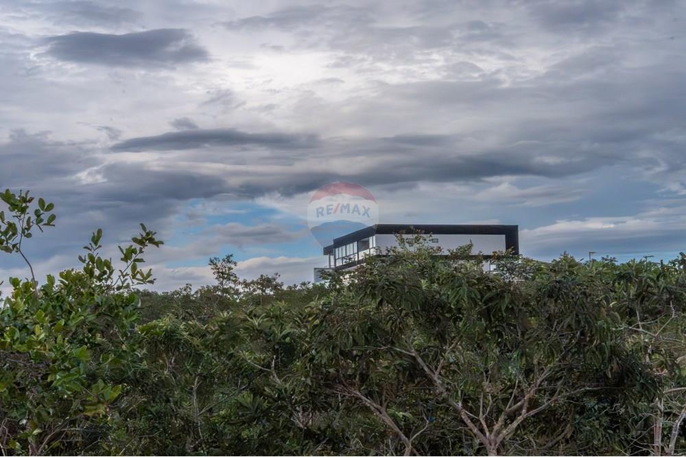 Terreno - Venda - Brasília , Distrito Federal - DSC03369-Aprimorado-NR.jpg - 880251001-38